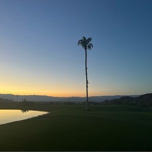 Meet your Posher, Alena